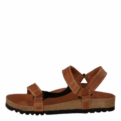 Heaven(Scholl Heaven 203330)