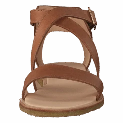 ANGULUS Sandal With Buckle Tan(Sandal With Buckle Tan) 10 ANGULUS Sandal With Buckle Tan(Sandal With Buckle Tan) -Heppo Butik 60052 15
