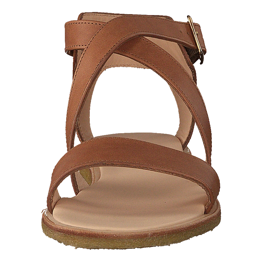 ANGULUS Sandal With Buckle Tan(Sandal With Buckle Tan) 4 ANGULUS Sandal With Buckle Tan(Sandal With Buckle Tan) - Bild 4