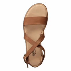 ANGULUS Sandal With Buckle Tan(Sandal With Buckle Tan) 12 ANGULUS Sandal With Buckle Tan(Sandal With Buckle Tan) -Heppo Butik 60052 15 4fabcb40 9e3c 4521 89dc 6ebfc5d80db5