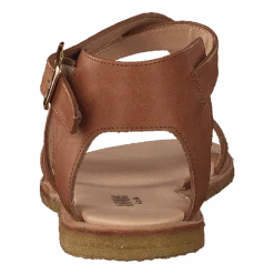 ANGULUS Sandal With Buckle Tan(Sandal With Buckle Tan) 11 ANGULUS Sandal With Buckle Tan(Sandal With Buckle Tan) -Heppo Butik 60052 15 9db7ee72 a2d8 4fb9 ada4 6ad04ded453c