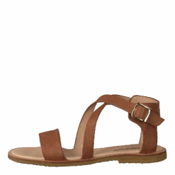 ANGULUS Sandal With Buckle Tan(Sandal With Buckle Tan)