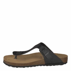 Annie Black(Annie W Black)