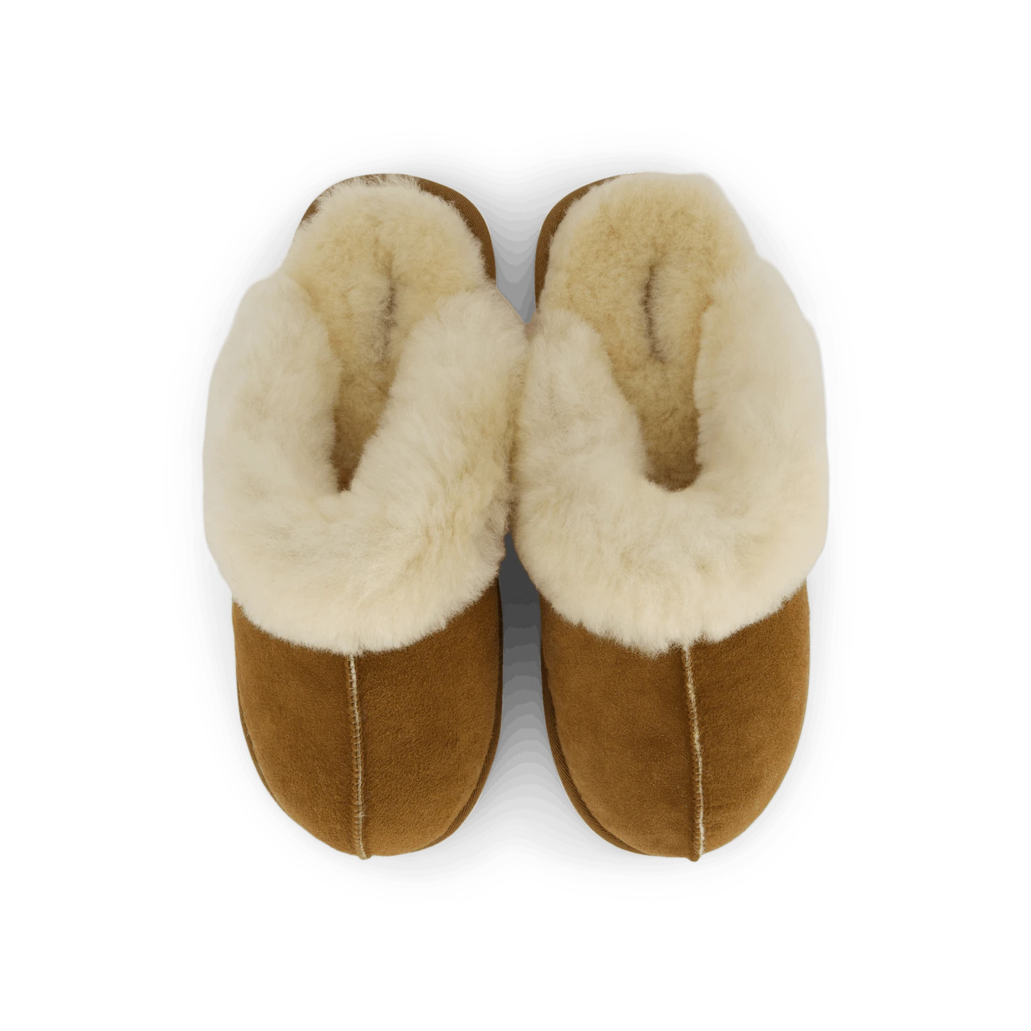 Shepherd Jessica Chestnut(Jessica Chestnut) 6 Shepherd Jessica Chestnut(Jessica Chestnut) - Bild 6