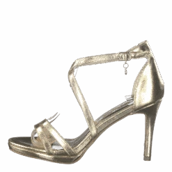 Xti 35027 Gold(35027 Gold)