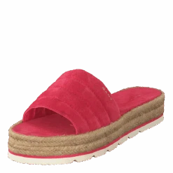 Gant Cape Coral G520 Watermelon Red(Cape Coral G520 Watermelon Red) -Heppo Butik 60127 50 60f517bd 4a3d 4a24 9f58 1f6f5e55b711