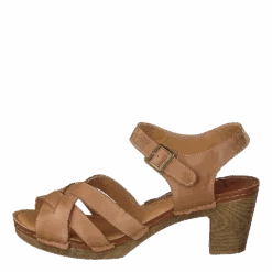 Templer Brown/tan(Templer Brown Tan)