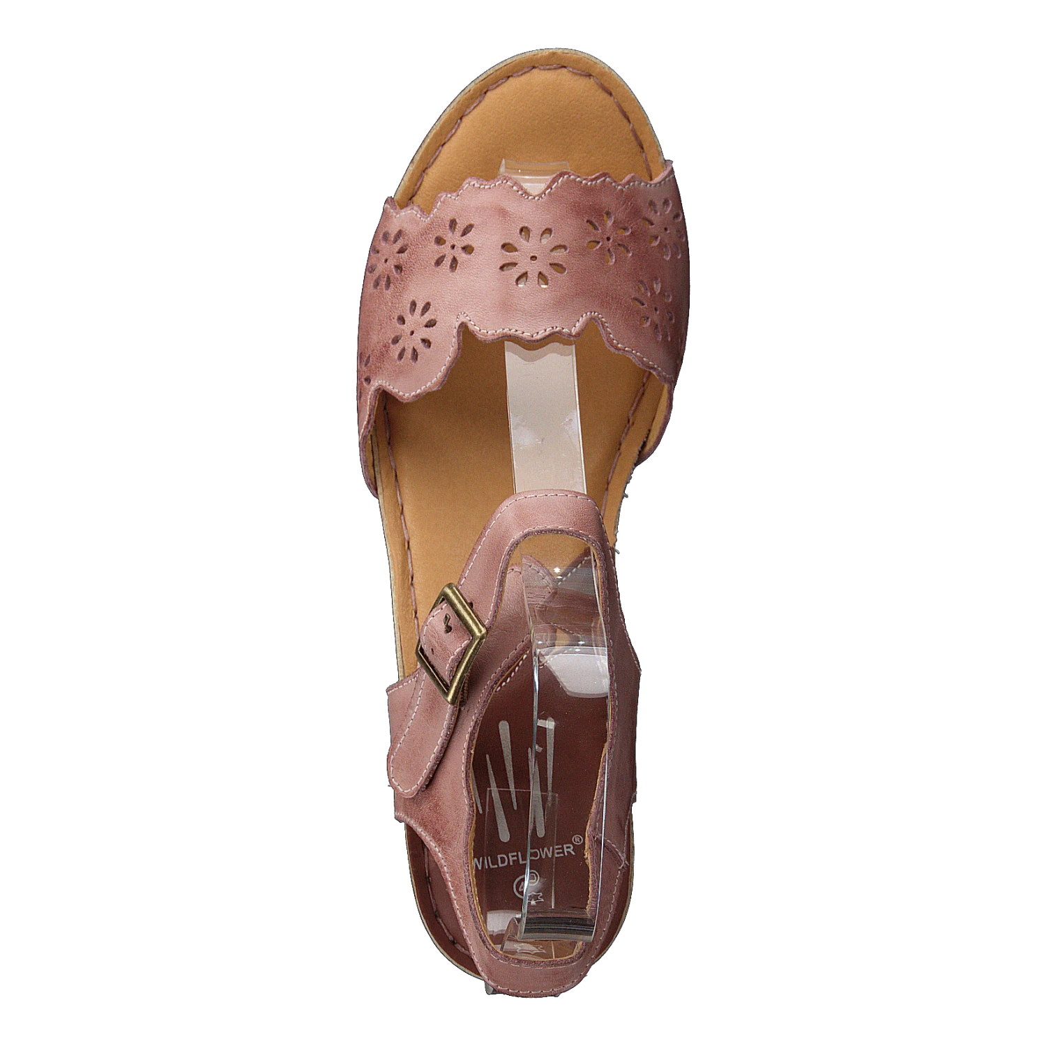 Luciana Pink(Luciana Pink) 6 Luciana Pink(Luciana Pink) - Bild 6