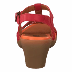 *art Alfarma Granadared(Alfarma Granadared) 11 *art Alfarma Granadared(Alfarma Granadared) -Heppo Butik 60147 54