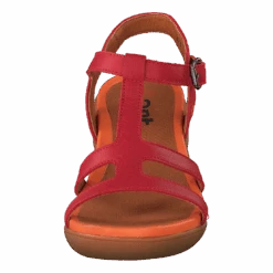 *art Alfarma Granadared(Alfarma Granadared) 10 *art Alfarma Granadared(Alfarma Granadared) -Heppo Butik 60147 54 b4f89d61 fd0c 4290 9221 1f2b7ae0c5af