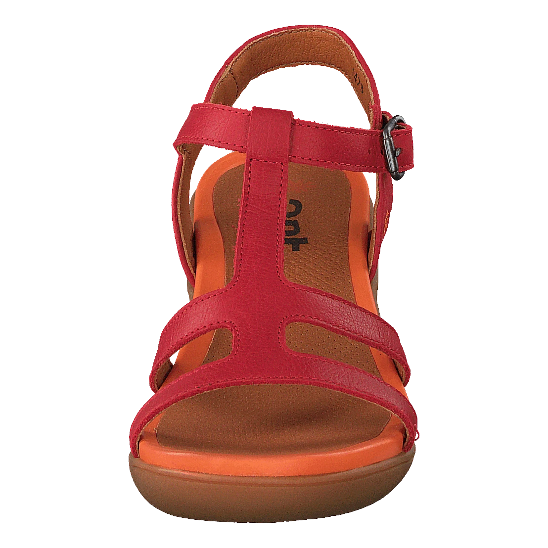 *art Alfarma Granadared(Alfarma Granadared) 4 *art Alfarma Granadared(Alfarma Granadared) - Bild 4