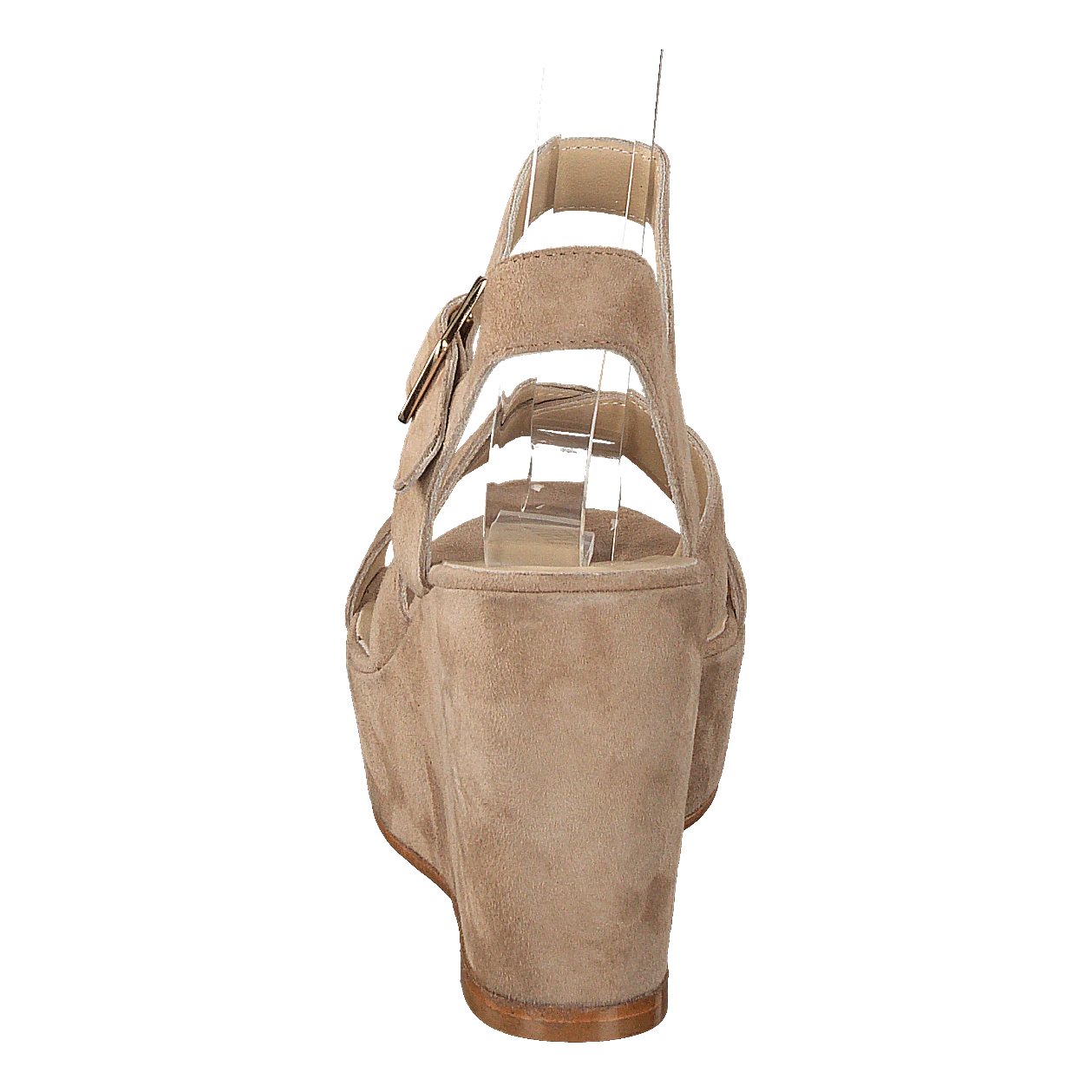 Camoscio Cognac(Camoscio Cognac) 5 Camoscio Cognac(Camoscio Cognac) - Bild 5