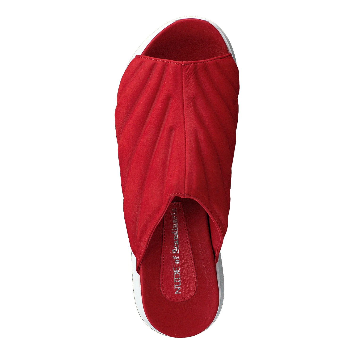 Rainbow Longbeach Rosso(Rainbow Longbeach Rosso) 6 Rainbow Longbeach Rosso(Rainbow Longbeach Rosso) - Bild 6