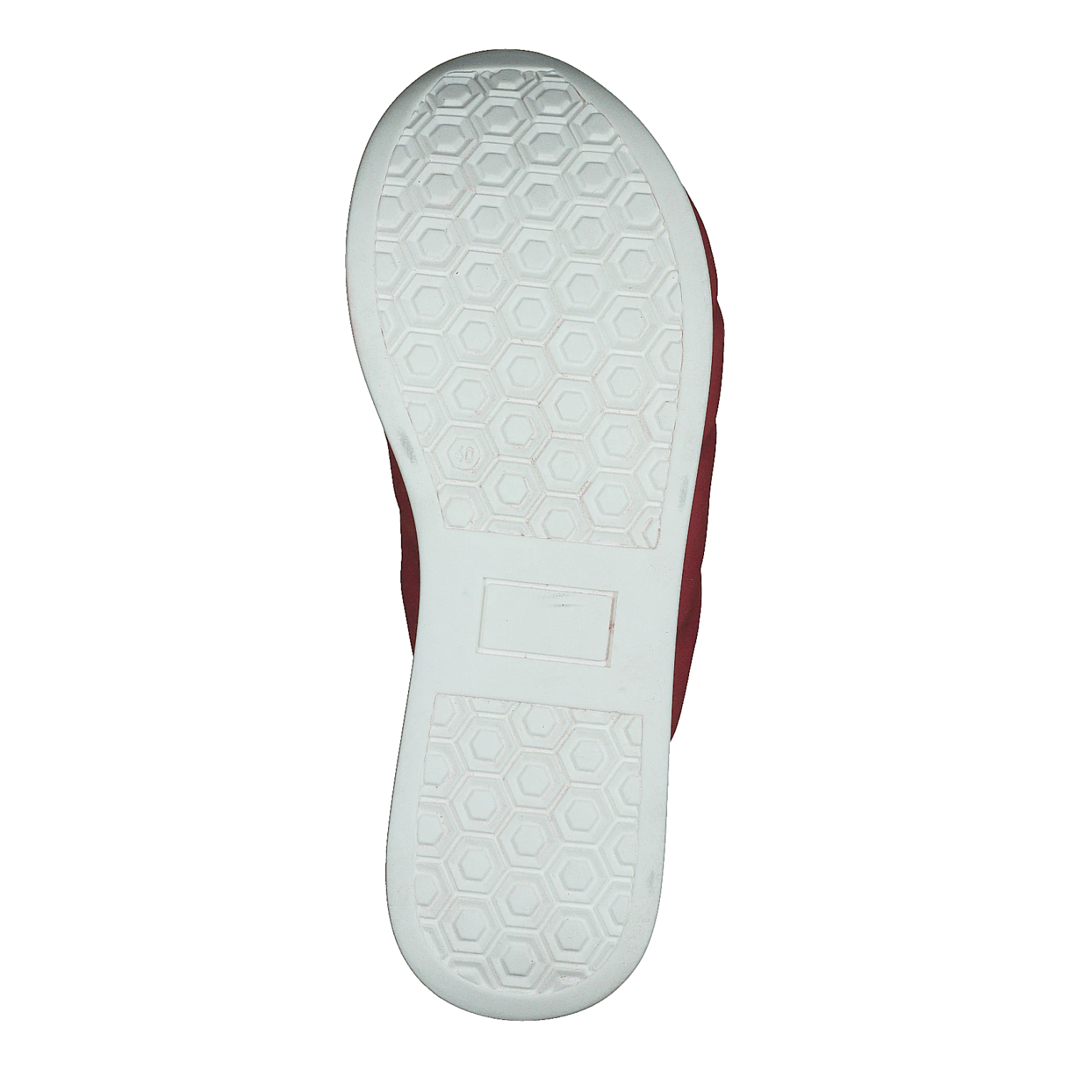 Rainbow Longbeach Rosso(Rainbow Longbeach Rosso) 7 Rainbow Longbeach Rosso(Rainbow Longbeach Rosso) - Bild 7