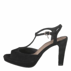 Syringa Black(Syringa Black)