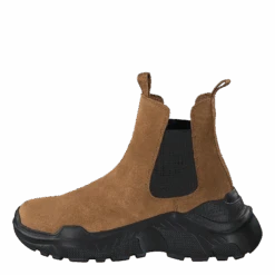 Evil Boot Camel(Evil Boot Camel)