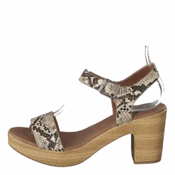 Xti 49889 Snake(49889 Snake)