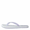 ADIDAS Eezay Flip-Flops Purple Tint / Cloud White / Purple Tint(Eezay Flip Flop Purple Tint Cloud White Purple)