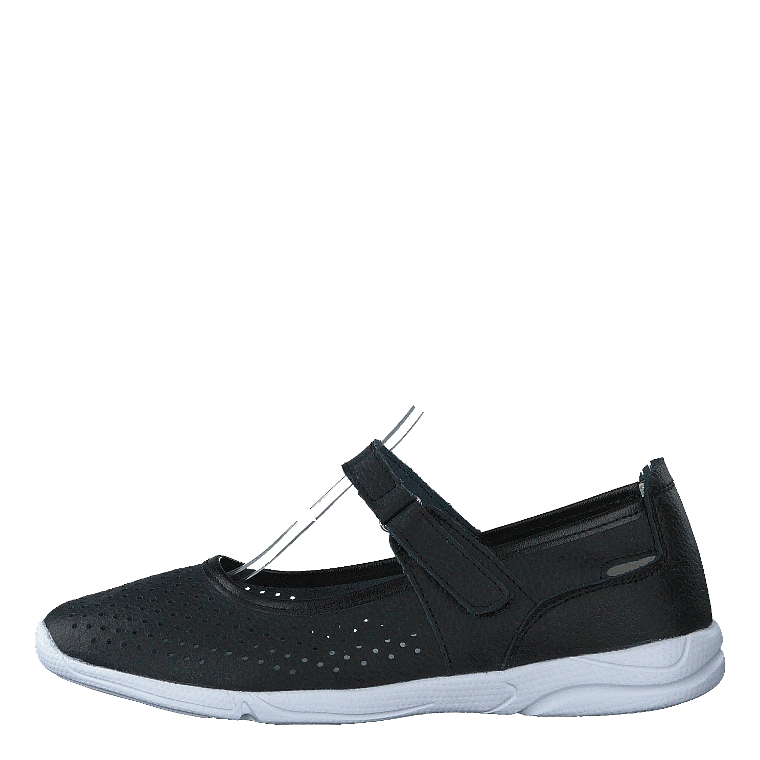 Rosa Black(Rosa Black 1) 1 Rosa Black(Rosa Black 1)