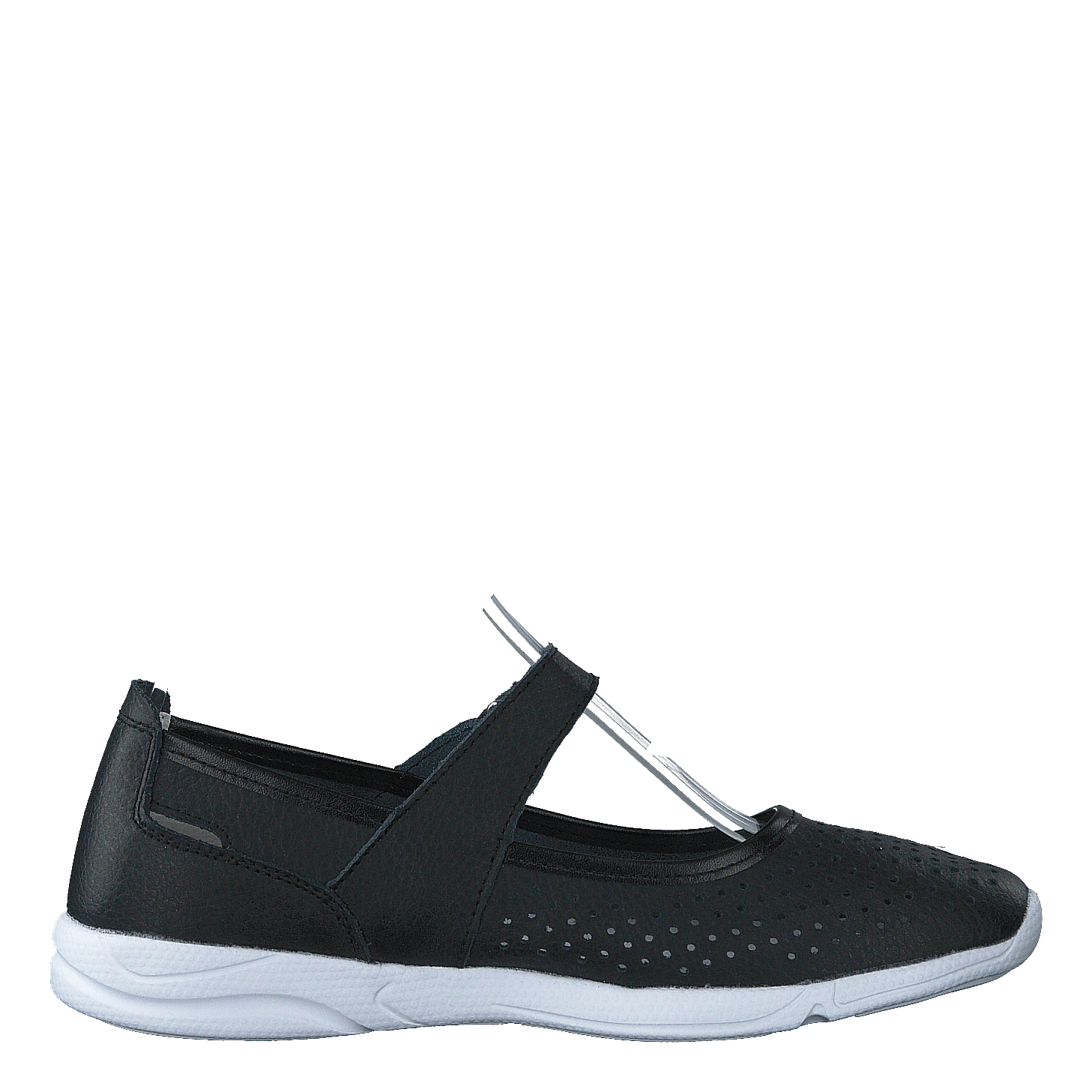 Rosa Black(Rosa Black 1) 2 Rosa Black(Rosa Black 1) - Bild 2