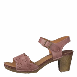 Luciana Pink 16(Luciana Pink 16)