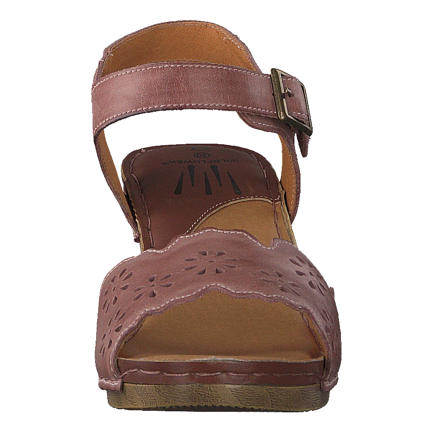 Luciana Pink 16(Luciana Pink 16) 4 Luciana Pink 16(Luciana Pink 16) - Bild 4