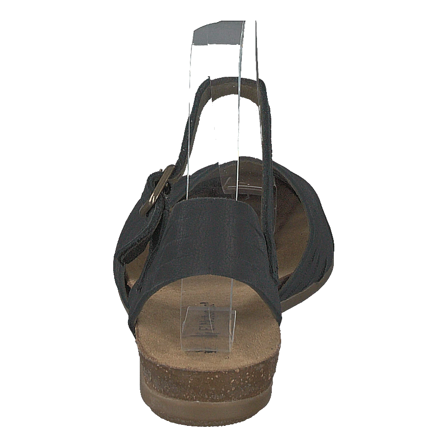 El Naturalista Stella Black(Stella Black 2) 5 El Naturalista Stella Black(Stella Black 2) - Bild 5