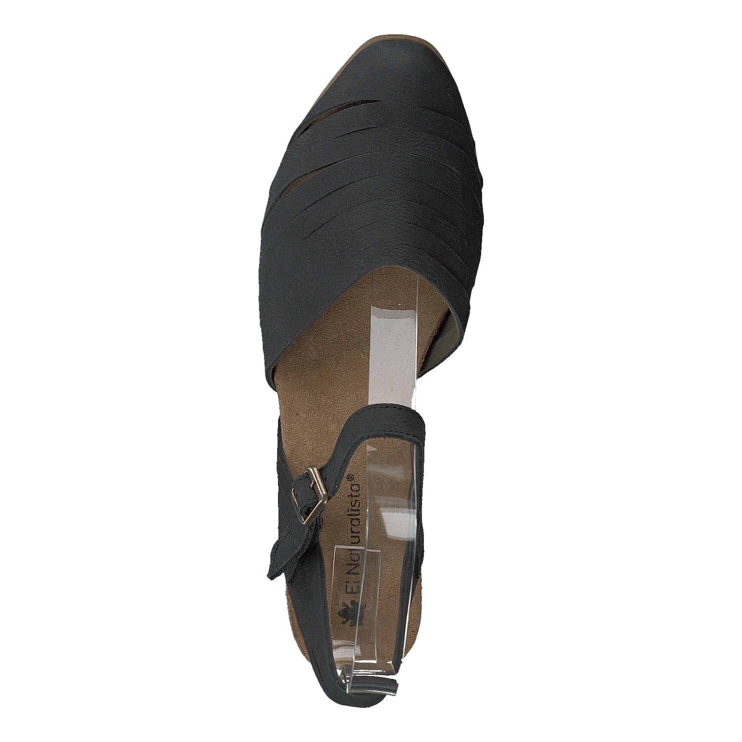 El Naturalista Stella Black(Stella Black 2) 6 El Naturalista Stella Black(Stella Black 2) - Bild 6