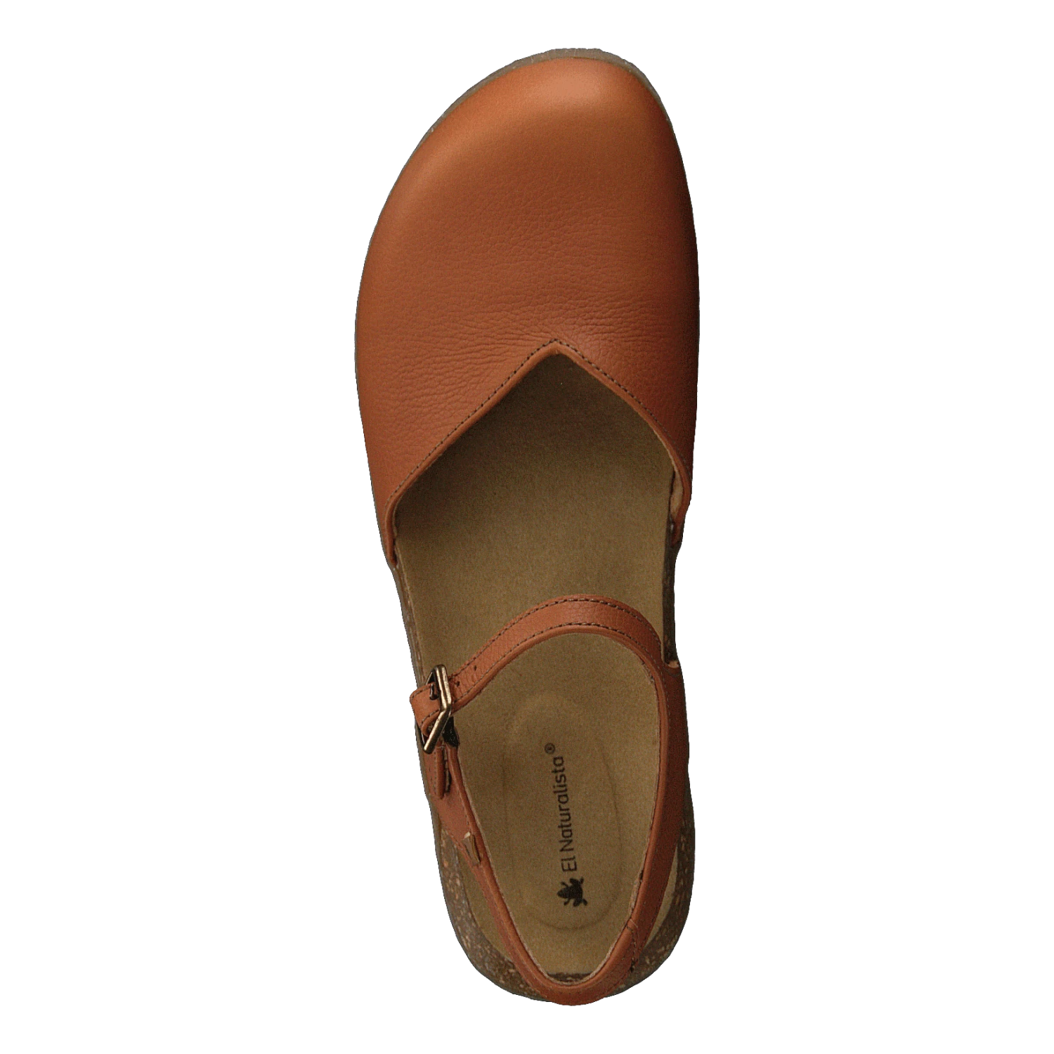 El Naturalista Wakatiwai Toffee(Wakatiwai Toffee) 6 El Naturalista Wakatiwai Toffee(Wakatiwai Toffee) - Bild 6