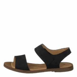 El Naturalista Tulip IbĂłn Black(Tulip Ibon Black 2)