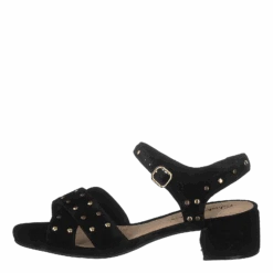 Clarks Sheer35 Strap Black Suede Studded(Sheer35 Strap Black Suede Studded)