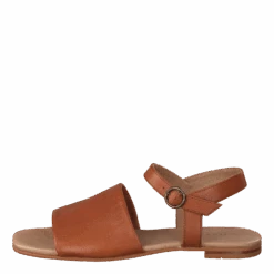 Madeleine Cognac(Ten Points Madeleine Cognac)