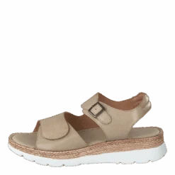 Maya Cappuccino(Ten Points Maya Cappuccino 2)