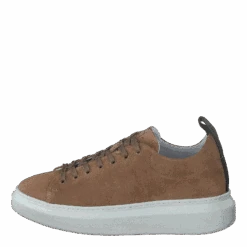 Dee Taupe Suede 174(Pavement Dee Taupe Suede 174)