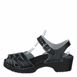 Stina Black(Mohedatoffeln Stina Black)