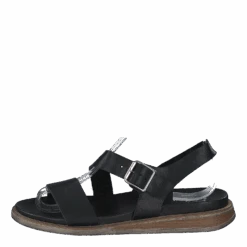 Lotta Black(Calou Lotta Black)