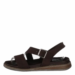 Lotta Brown(Calou Lotta Brown)