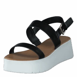 Wiwiel Black(Aldo Wiwiel Black)