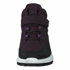 Ecco Exostrike Kids Black/fig/fig(Ecco Ecco Exostrike Kids Black Fig Fig) -Heppo Butik 60464 25 0e6014c2 f717 409b 9899 cfb3cb88d65a