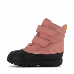 Frånö Wp Ash Rose(Kavat Fr N Wp Ash Rose)