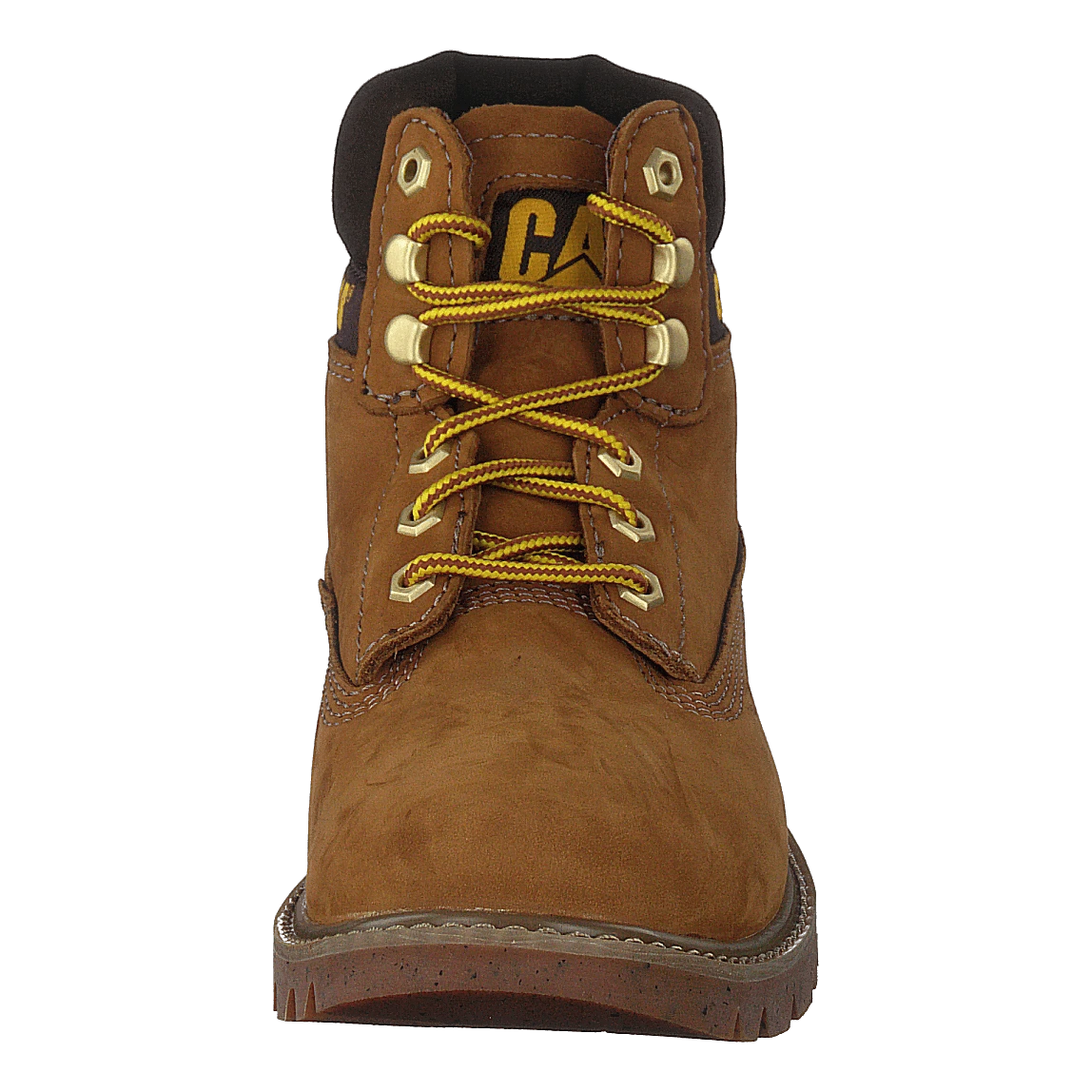 E-colorado Taffy(Cat E Colorado Taffy) 4 E-colorado Taffy(Cat E Colorado Taffy) - Bild 4