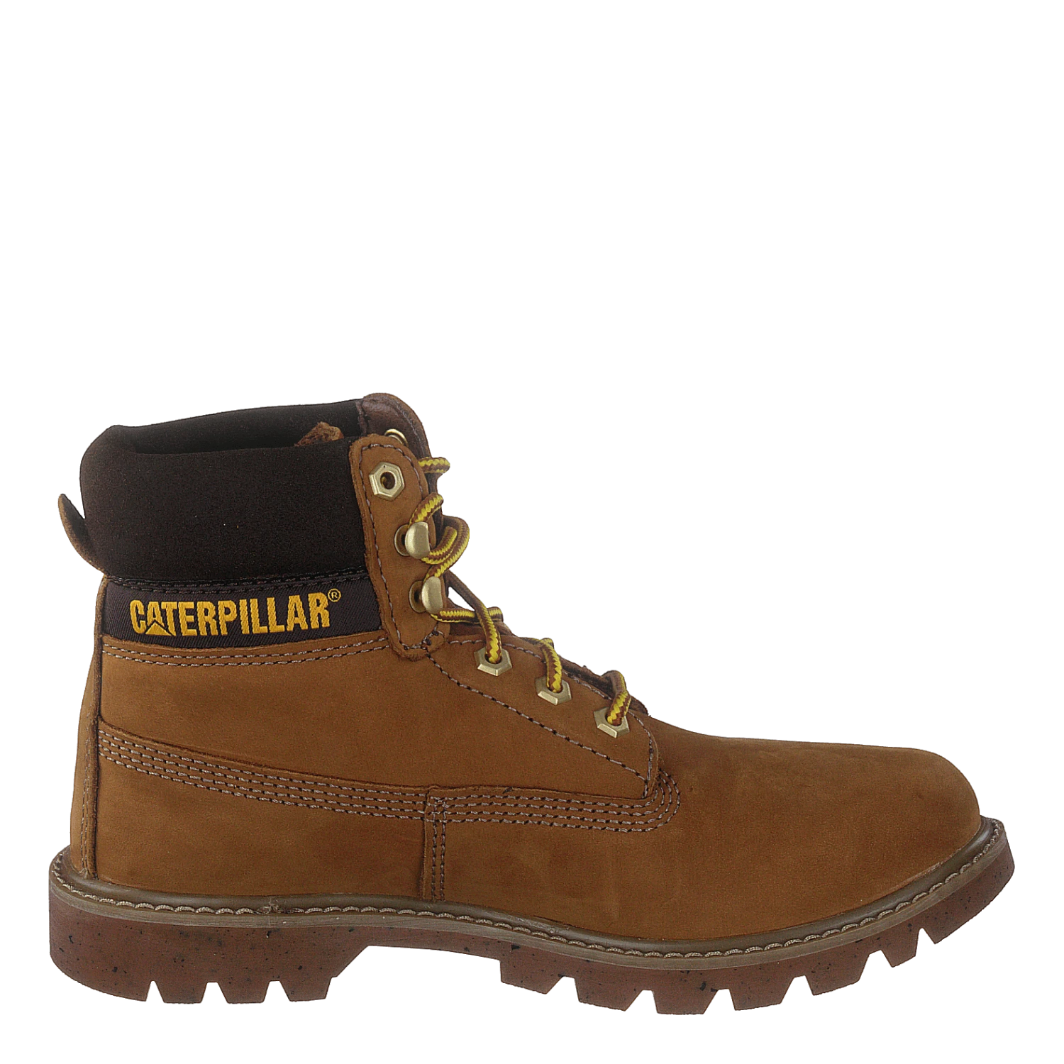 E-colorado Taffy(Cat E Colorado Taffy) 2 E-colorado Taffy(Cat E Colorado Taffy) - Bild 2