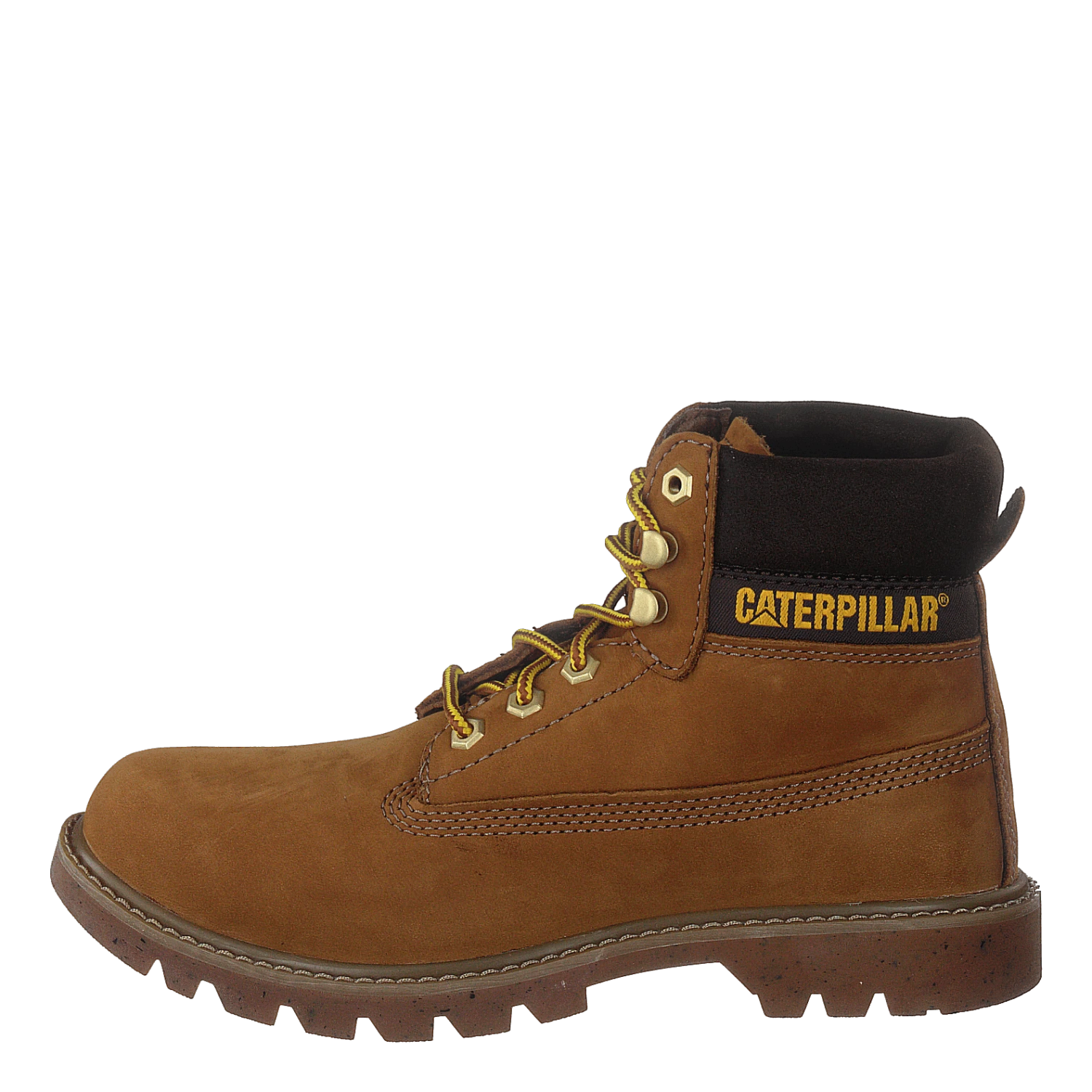 E-colorado Taffy(Cat E Colorado Taffy) 1 E-colorado Taffy(Cat E Colorado Taffy)