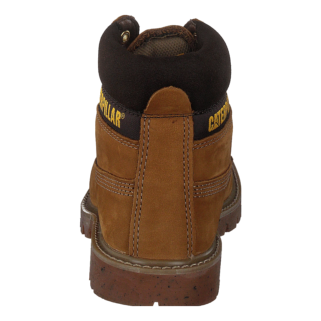 E-colorado Taffy(Cat E Colorado Taffy) 5 E-colorado Taffy(Cat E Colorado Taffy) - Bild 5