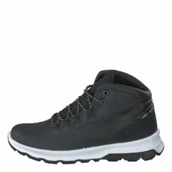 Lavsjö Black(Graninge Lavsj Black)