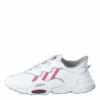 Ozweego W Cloud White / Rose Tone / Victory Crimson(Adidas Originals Ozweego W Ftwwht Roston Viccri)