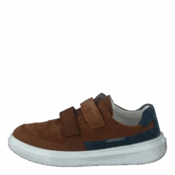 Cosmo Brown(Superfit Cosmo Brown 3)