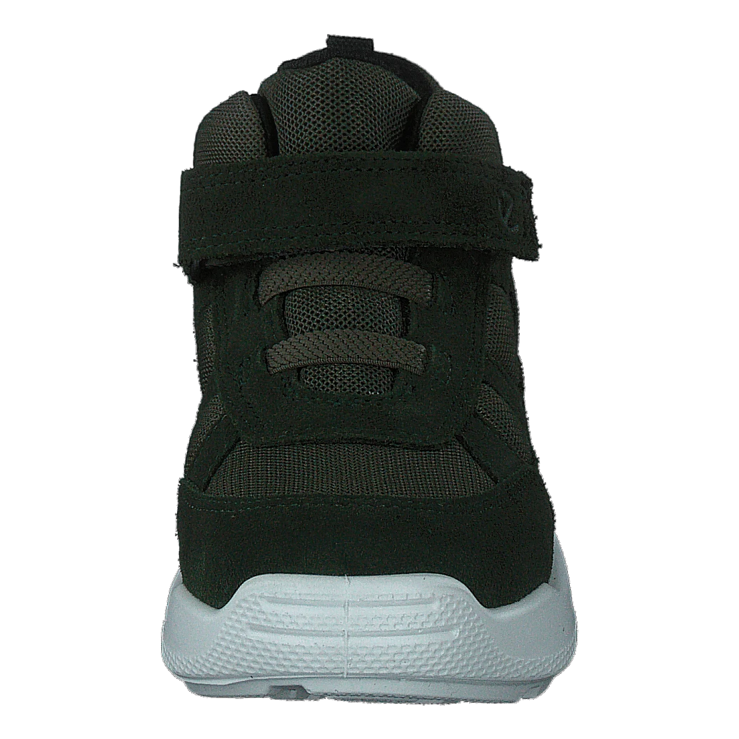 Ecco Urban Mini Deep Forrest /grape Leaf(Ecco Ecco Urban Mini Deep Forrest Grape Leaf) 4 Ecco Urban Mini Deep Forrest /grape Leaf(Ecco Ecco Urban Mini Deep Forrest Grape Leaf) - Bild 4