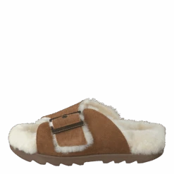 W Outslide Buckle Chestnut Suede(Ugg W Outslide Buckle Chestnut Suede)
