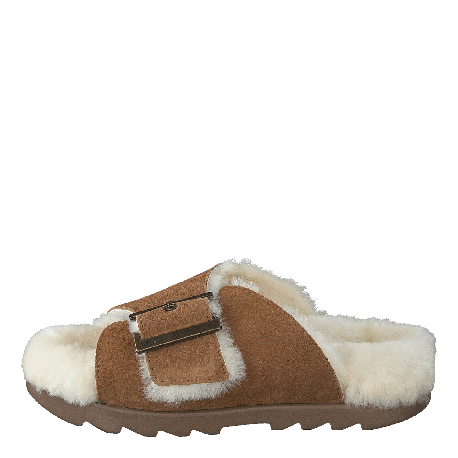 W Outslide Buckle Chestnut Suede(Ugg W Outslide Buckle Chestnut Suede) 1 W Outslide Buckle Chestnut Suede(Ugg W Outslide Buckle Chestnut Suede)